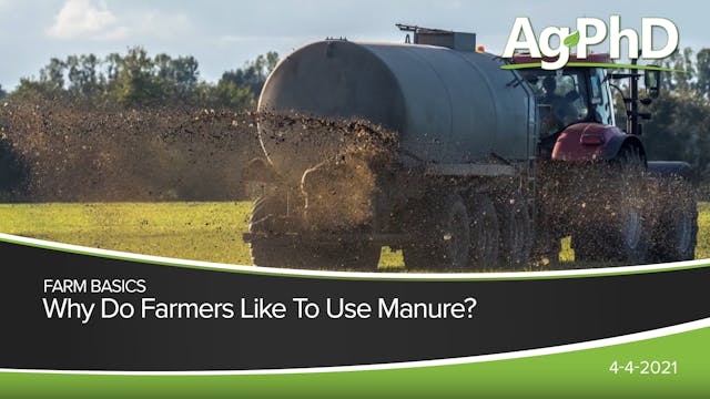 Why Do Farmers Use Manure? | Ag PhD
