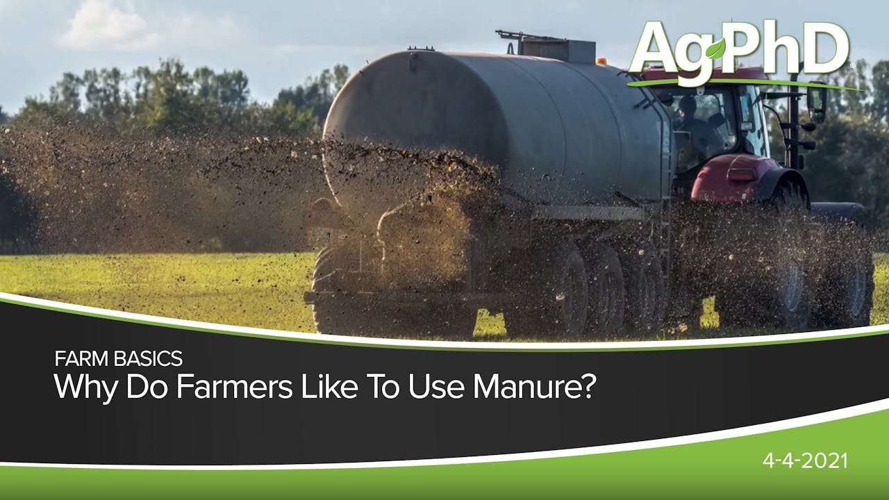 Why Do Farmers Use Manure? 2021 AcresTV