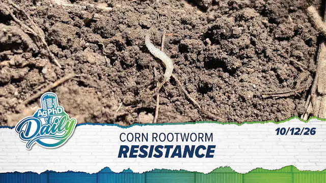 Corn Rootworm Resistance | Ag PhD Dai...