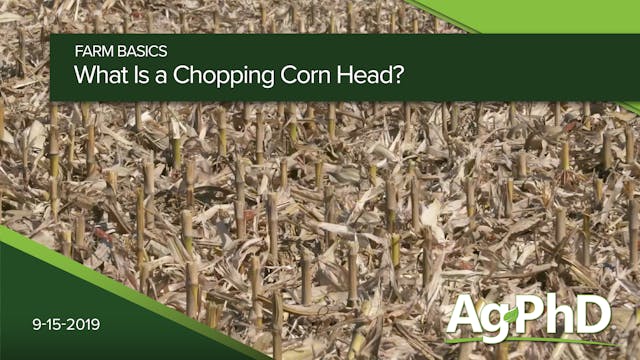 What is a Chopping Corn Head?