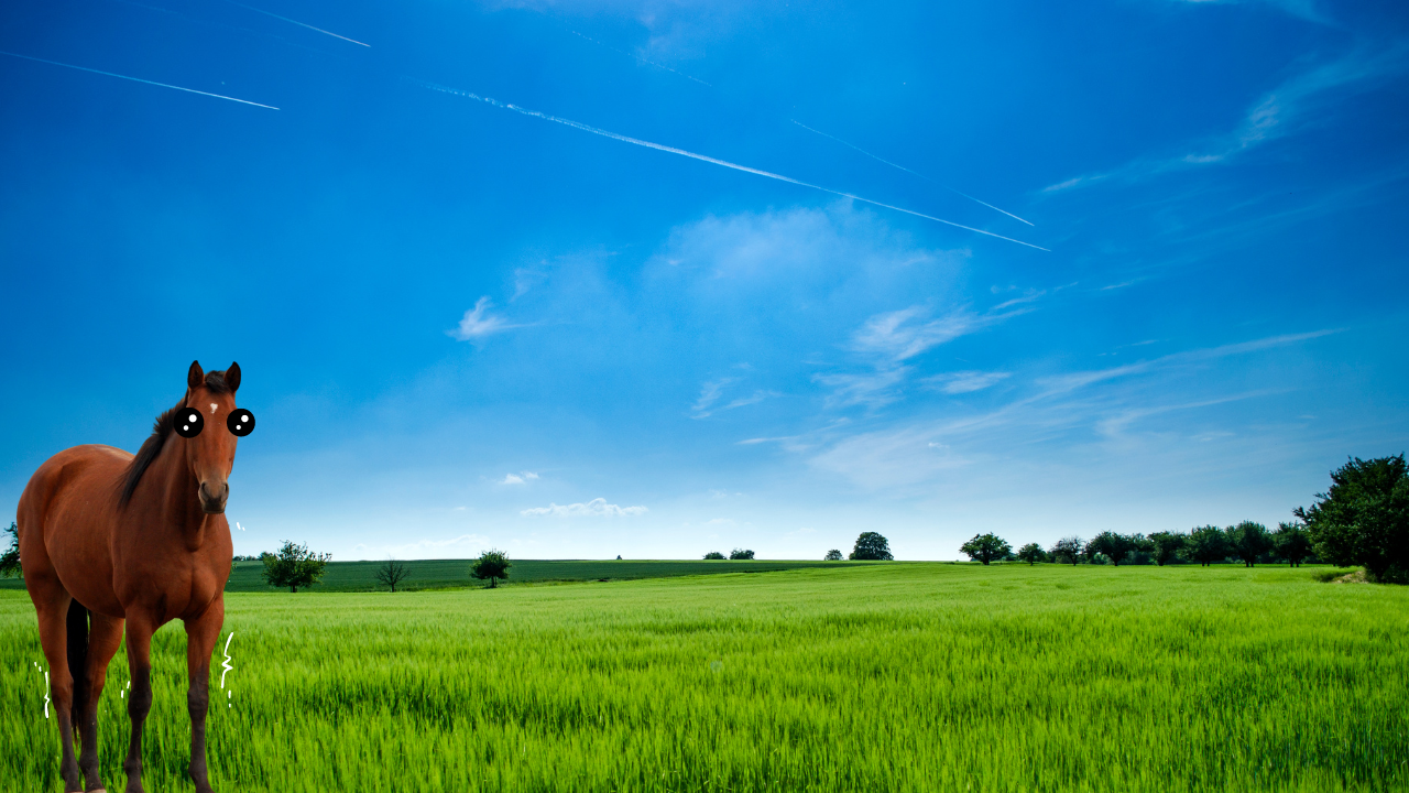 Free For All Tuesday | WAG in Focus 12-02-25