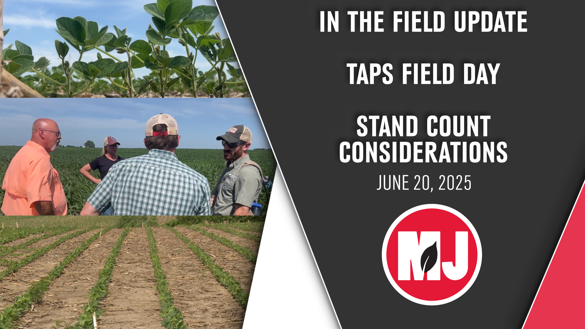 June 20, 2025 | Market Journal