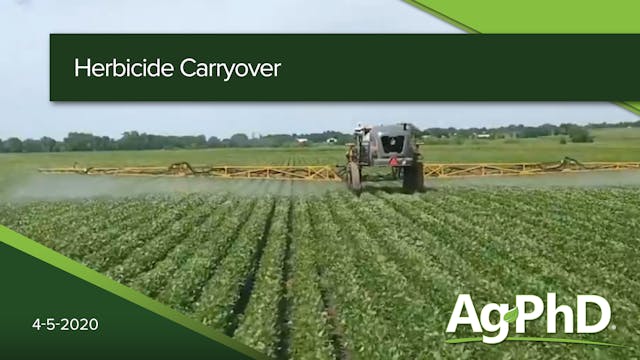 Herbicide Carryover | Ag PhD