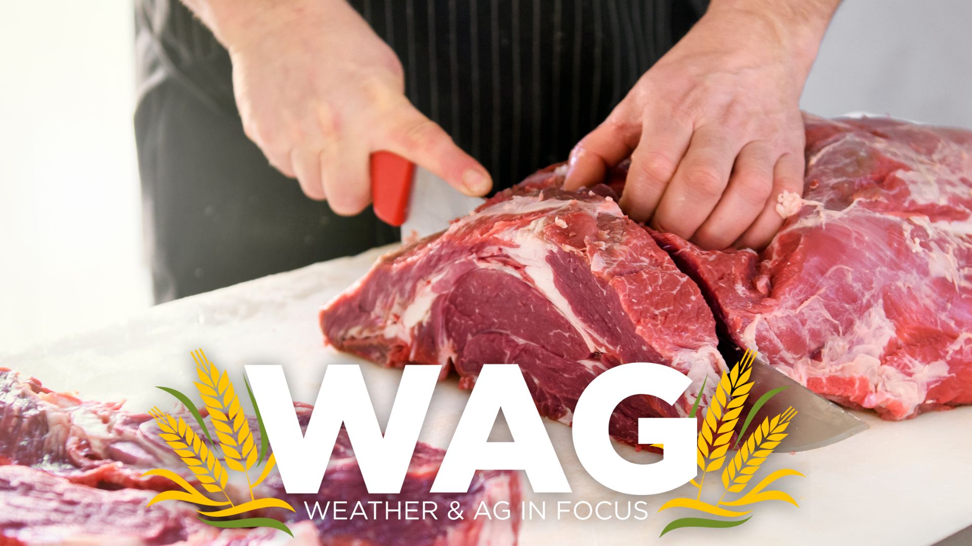 Expanding Local Butcher Business - WAG In Focus 1-26-23