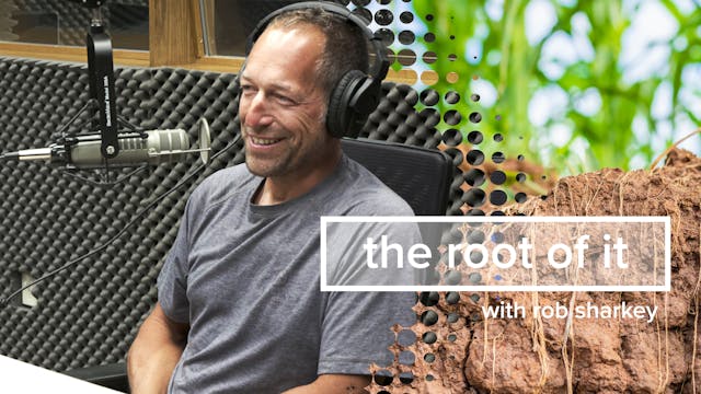 Brian Totzke | The Root of It