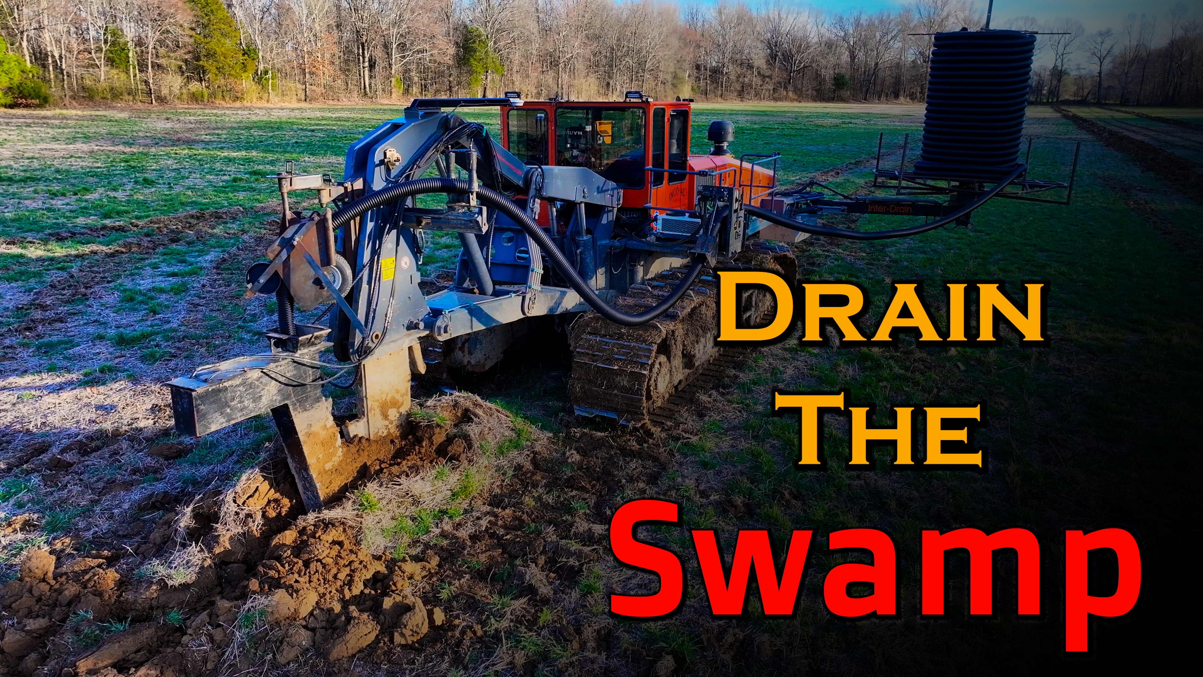 Drain The Swamp! | Griggs Farms
