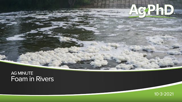 Foam in Rivers