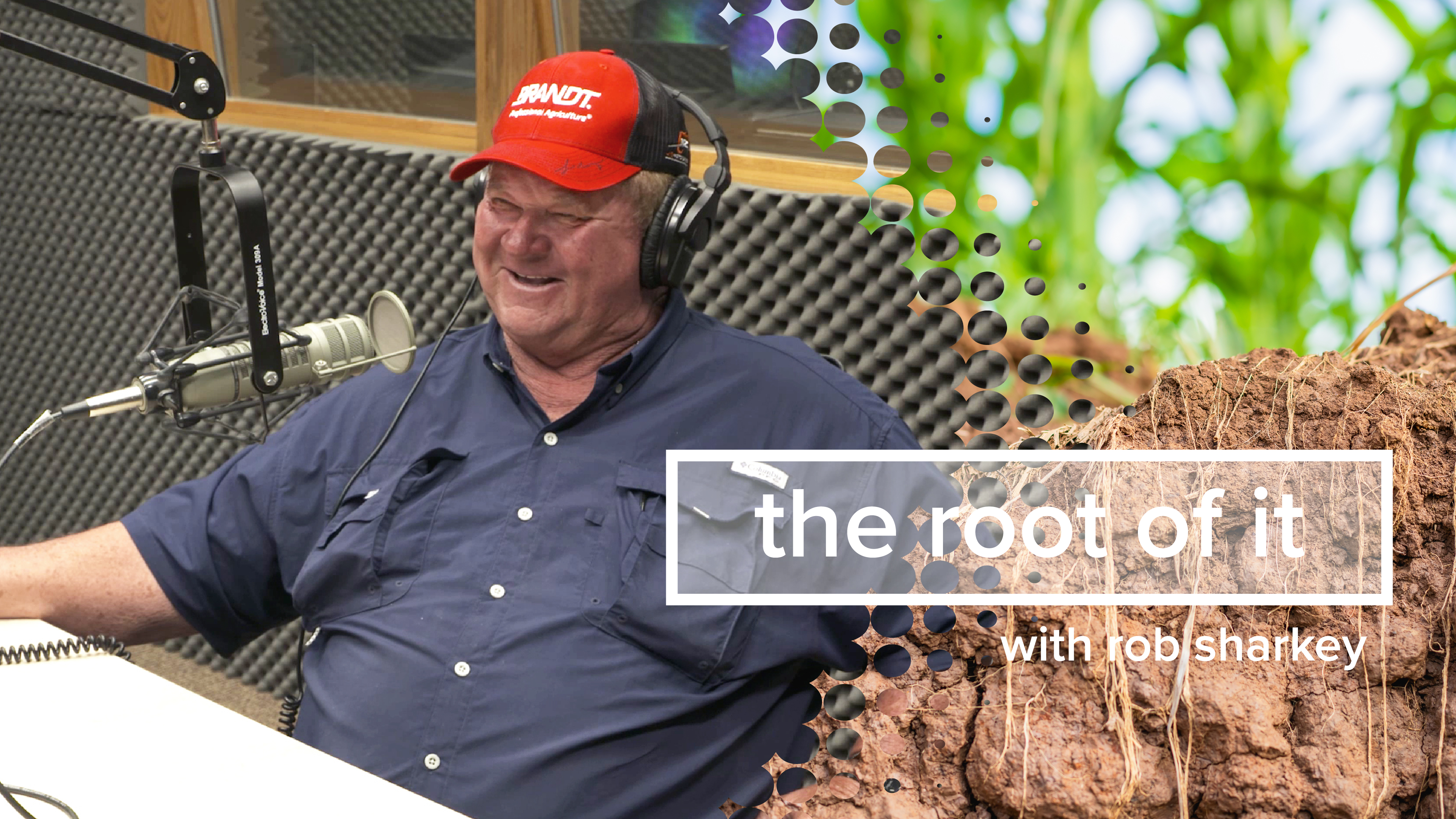 Rock Katschnig | The Root of It