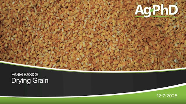 Drying Grain | Ag PhD