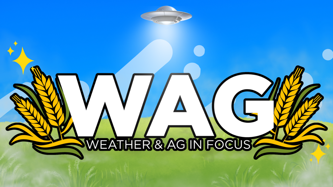 Ag PhD Field Day! | WAG in Focus 07-30-26