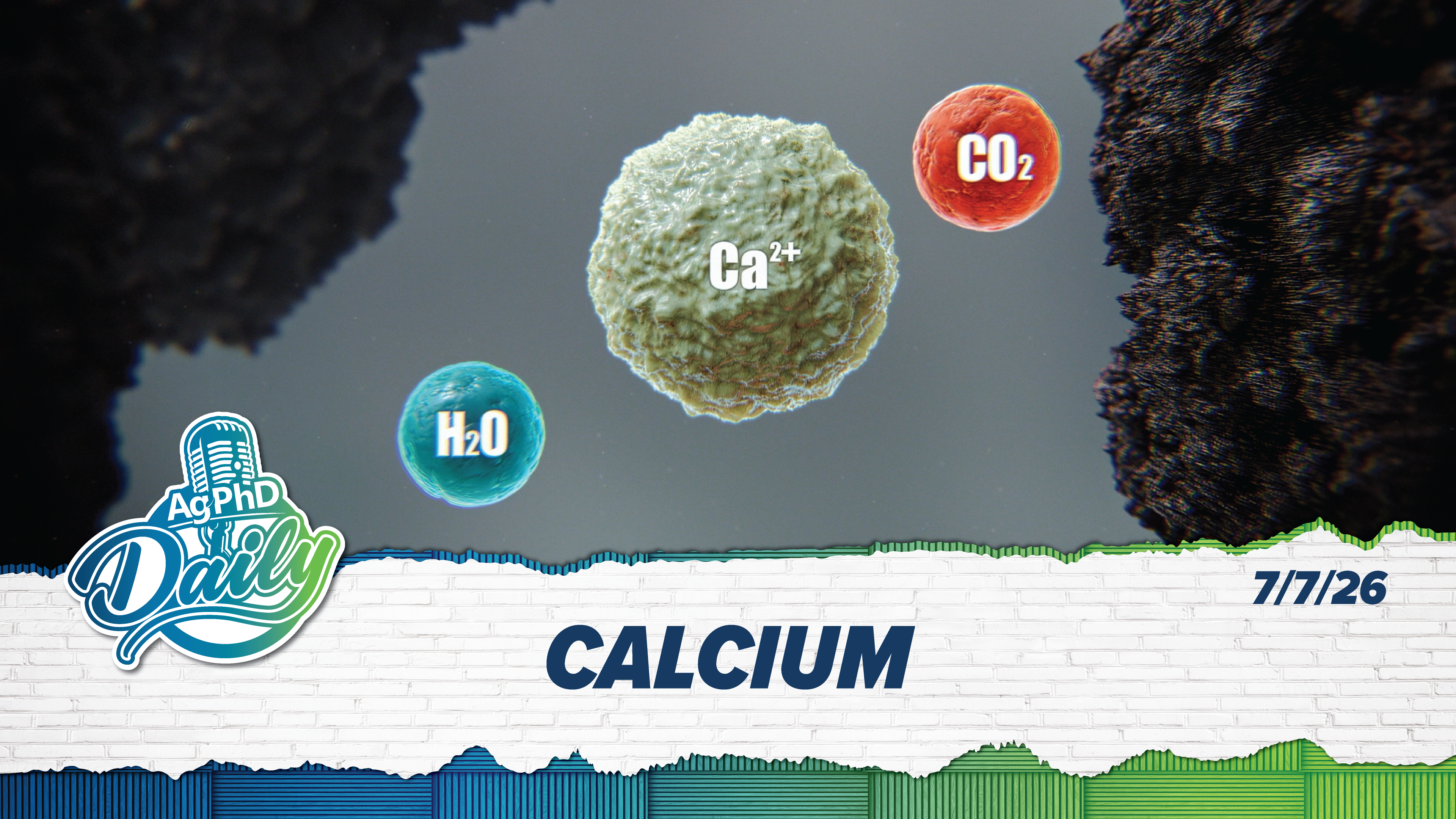 Calcium | Ag PhD Daily | 7/7/26