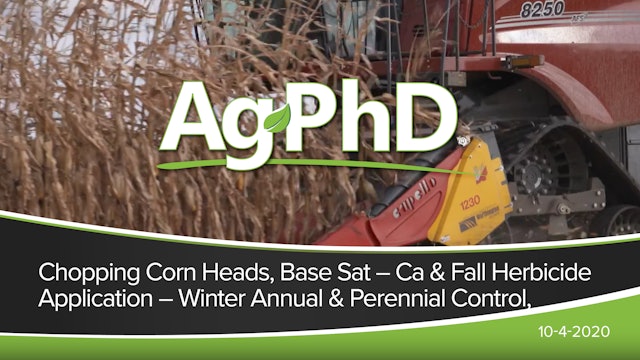 Chopping Corn Heads, Base Sat-Ca, Fall Application, Winter Annual and Perennial