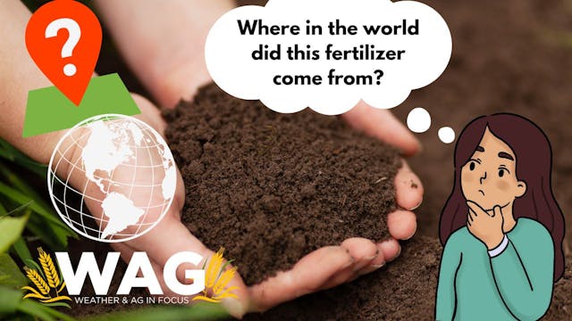 Where In The World Did This Fertilize...