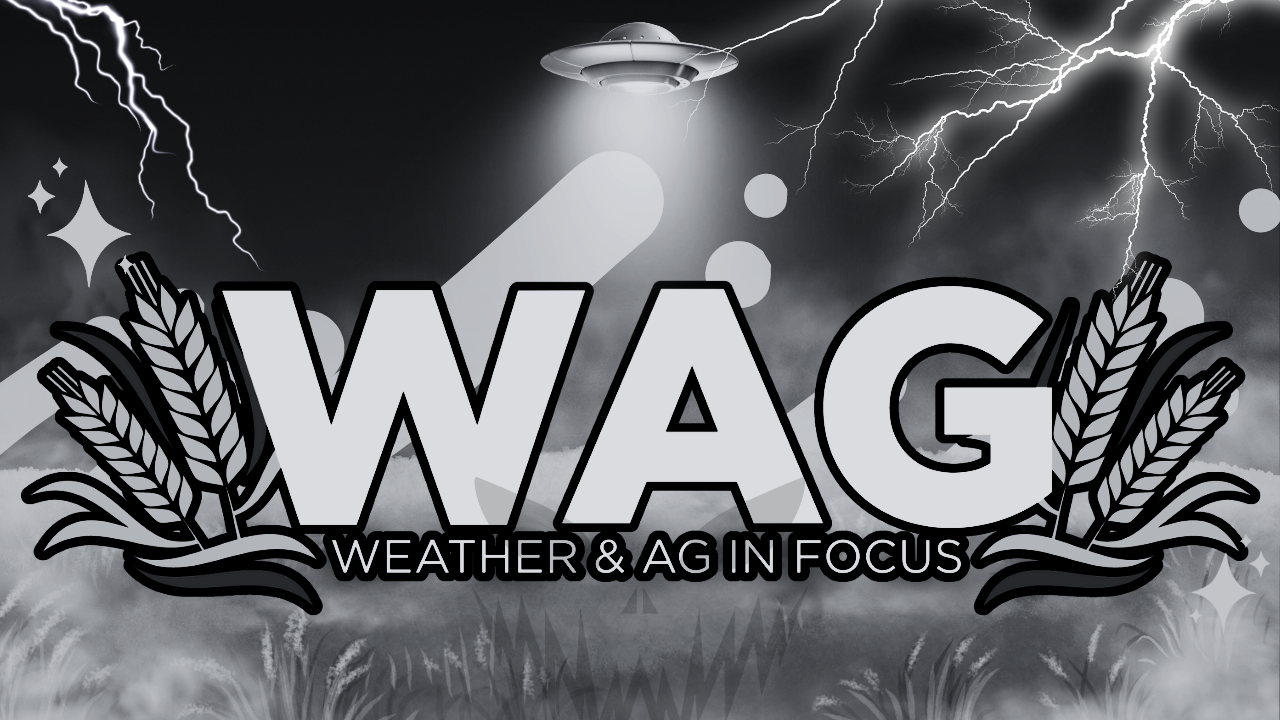 ND has forests?? | WAG in Focus 10-31-25