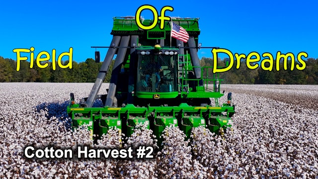 Field of Dreams!!! Cotton Harvest #2 | Griggs Farms