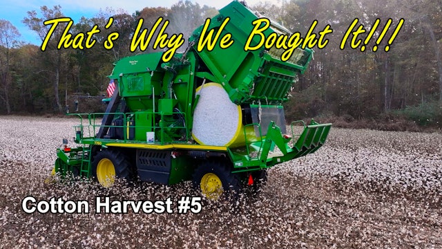 And That's Why We Bought A Module Picker!!! Cotton Harvest #5 | Griggs Farms