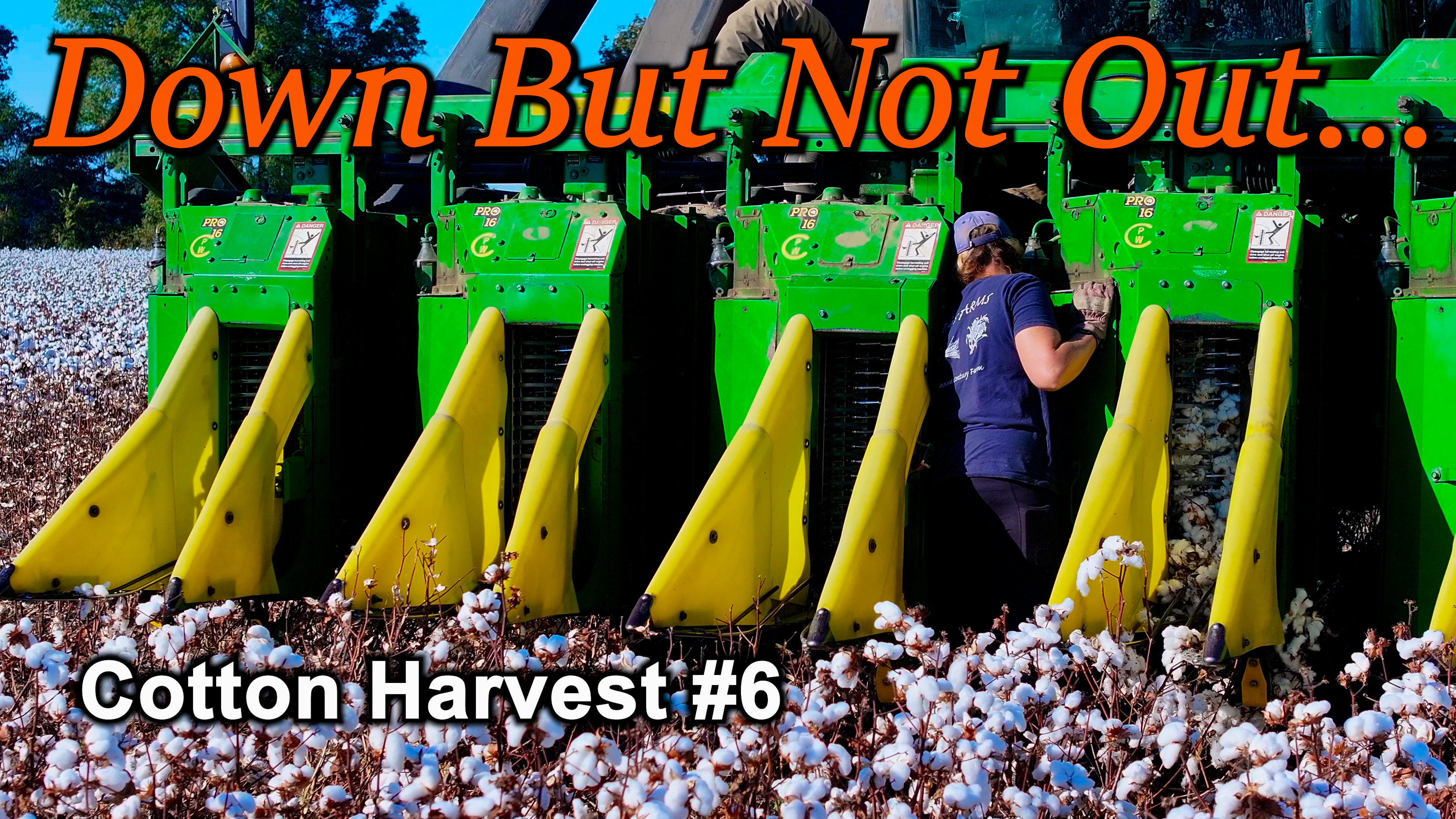 Defying Doctor's Orders... | Cotton Harvest | Griggs Farms