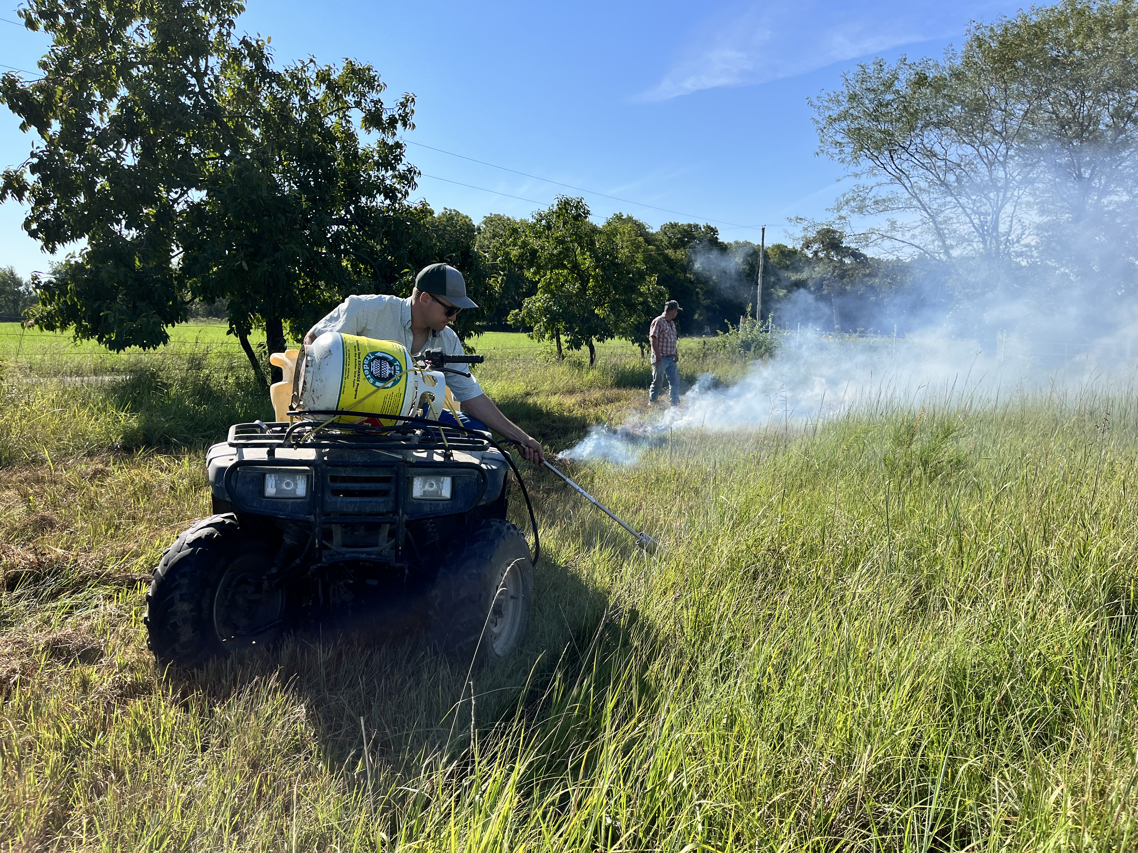 Burn, Sericea, Burn! | Buzzard's Beat