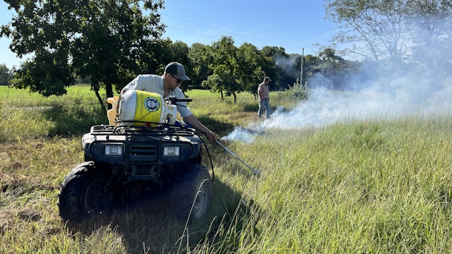 Burn, Sericea, Burn! | Buzzard's Beat