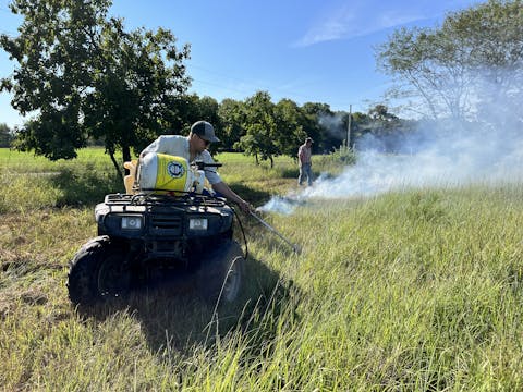 Burn, Sericea, Burn! | Buzzard's Beat