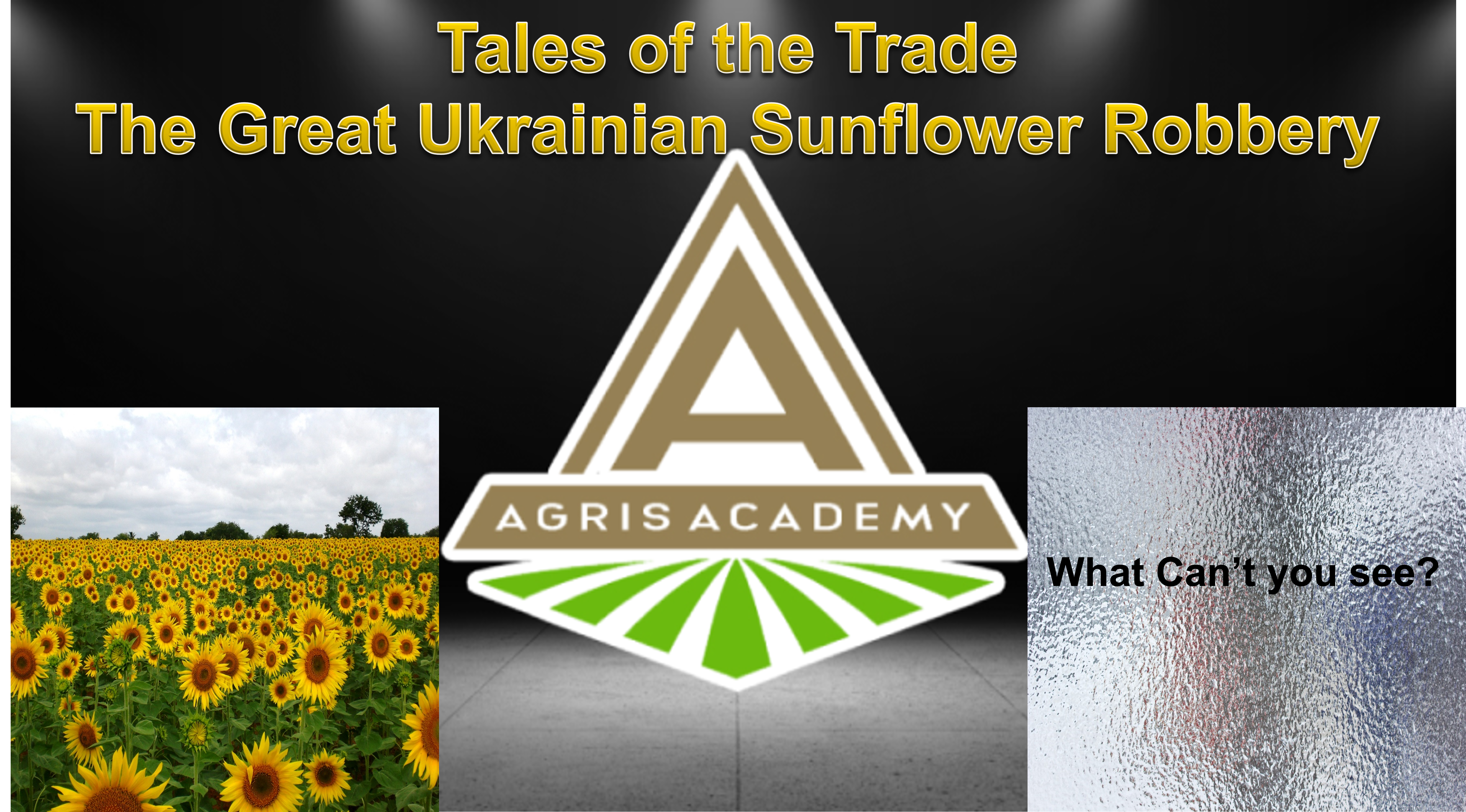 The Great Ukrainian Sunflower Robbery | AgrisAcademy