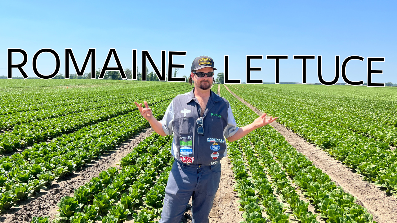 Florida Lettuce, Broccoli, Watermelons And More | Randy The Farmer