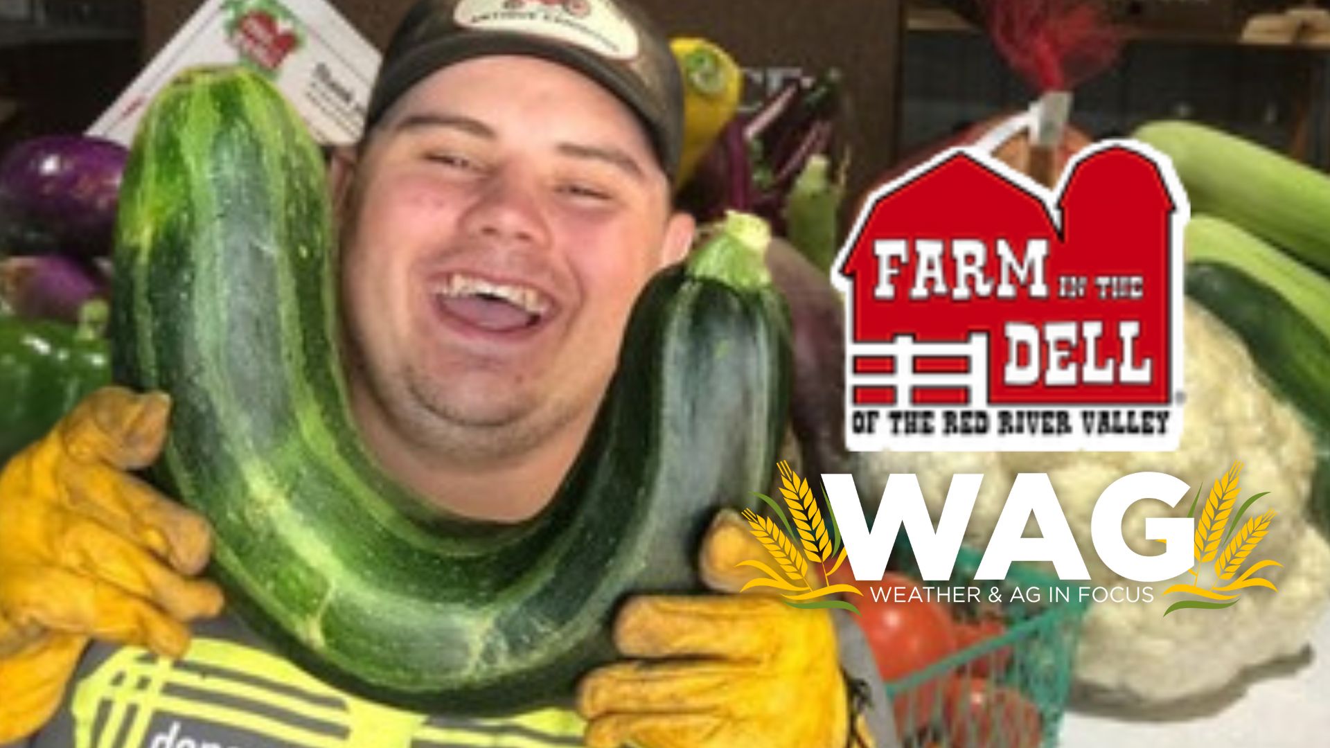  The Farm in the Dell, the Farm in the Dell - WAG In Focus 3-29-23