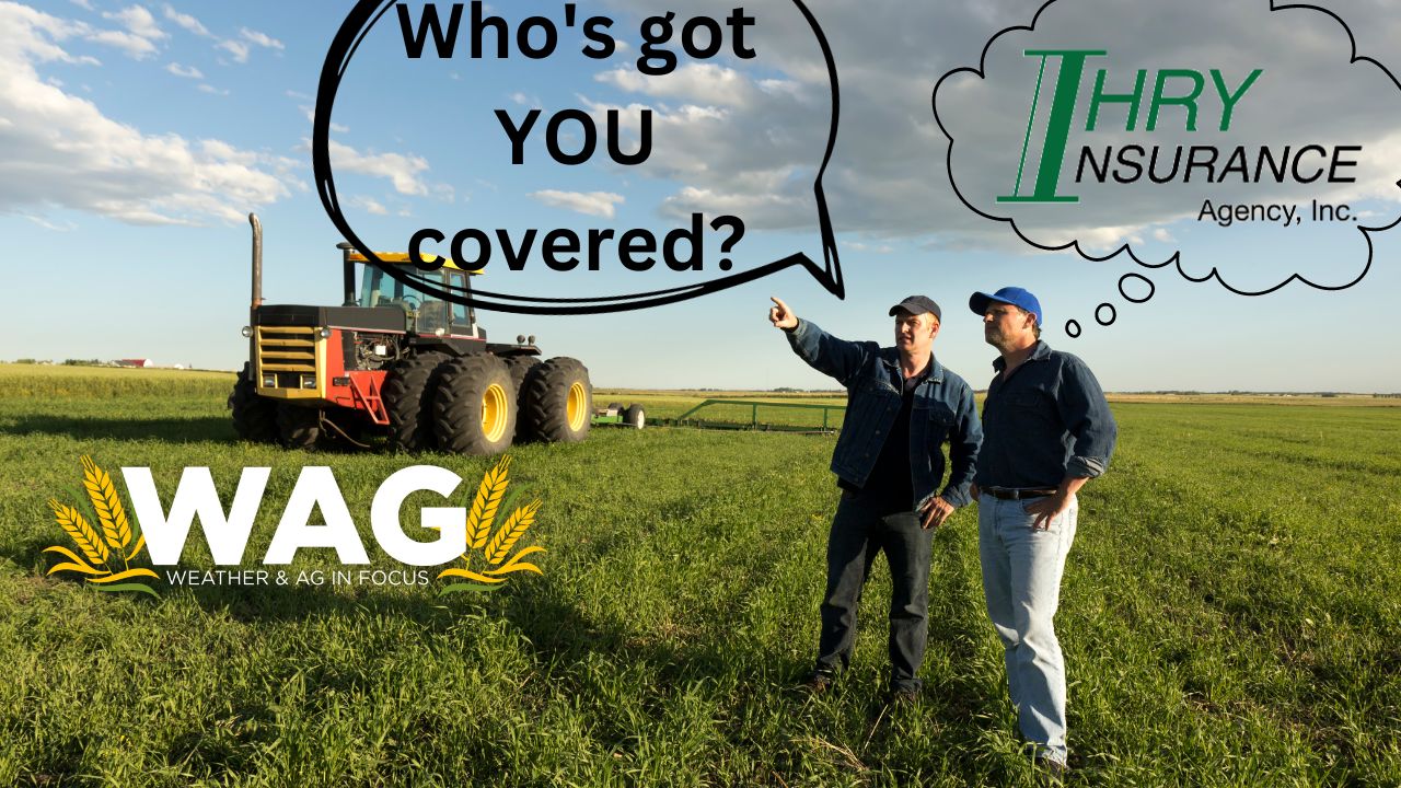 Who's Got You Covered? WAG In Focus 8/28/23