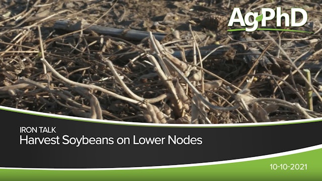 Harvest Soybeans on Lower Nodes