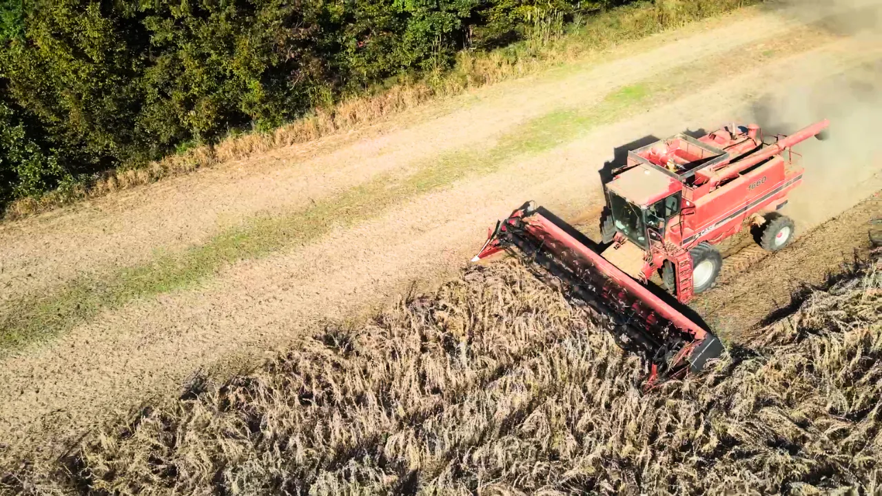 I Am the Most Talented Combine Operator Around!!! | Farmer King - Ag ...