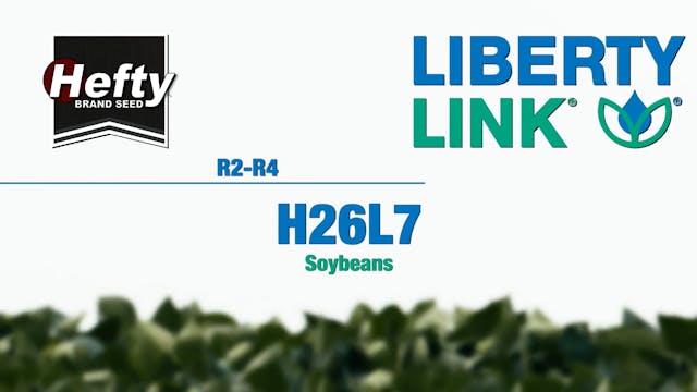 Hefty Brand Soybeans - LibertyLink H2...