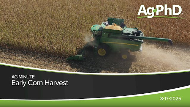 Early Corn Harvest | Ag PhD