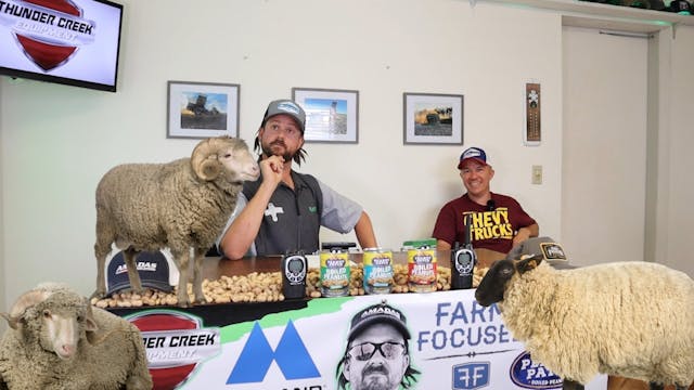 Missouri Sheep Farmer | Randy the Farmer