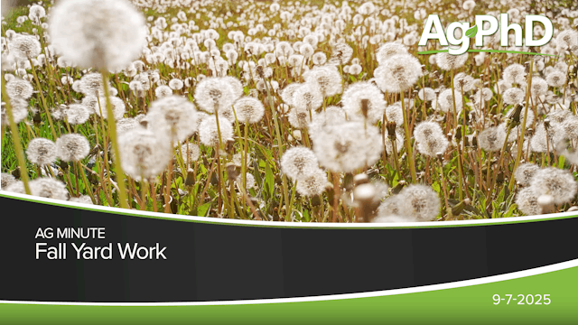 Fall Yard Work | Ag PhD