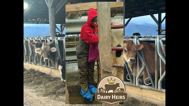 “From Butter to Baby Heifers – A Week...