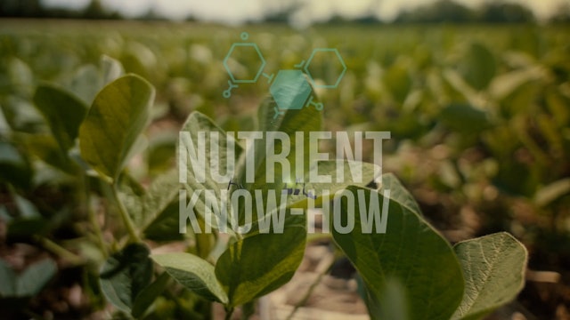 Nutrient Know-How: Building the Plant's Immune System with Zinc | XtremeAg