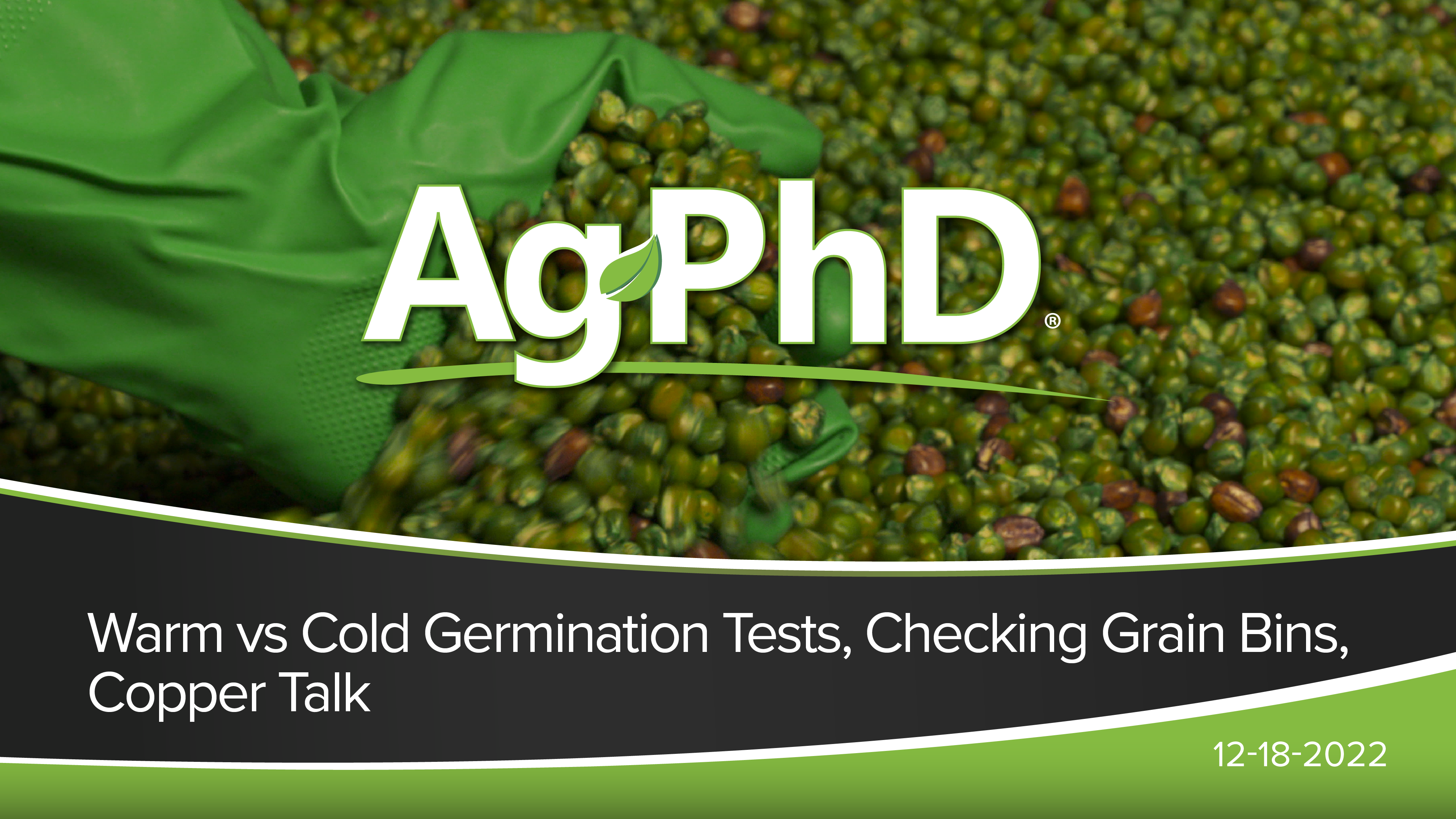 Warm vs Cold Germination Tests, Checking Grain Bins, Copper Talk | Ag PhD