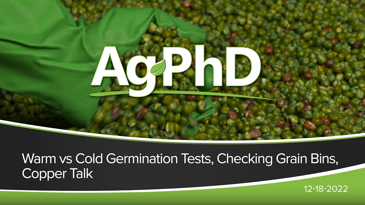 Warm vs Cold Germination Tests, Checking Grain Bins, Copper Talk Ag PhD 2022 AcresTV