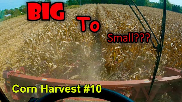 What Happened To Our Big Header???  C...