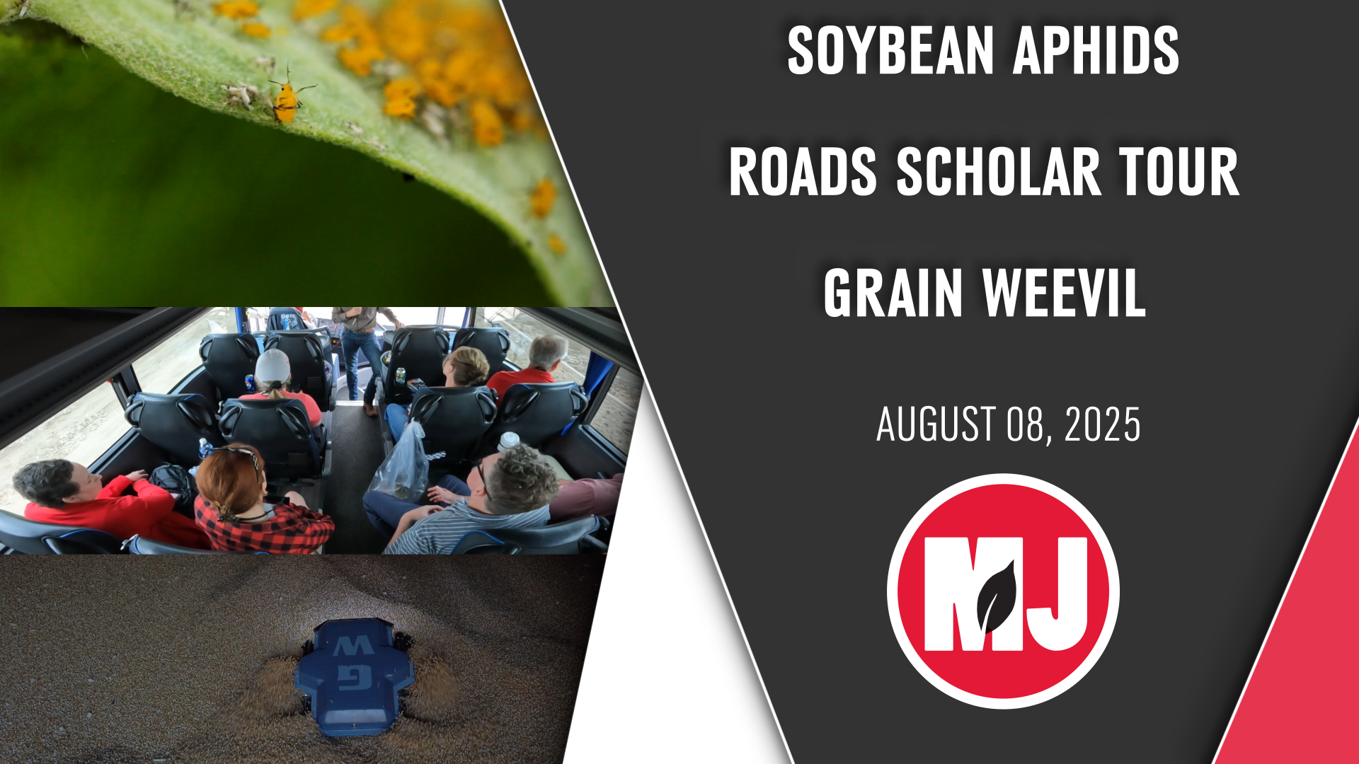 August 8, 2025 | Market Journal