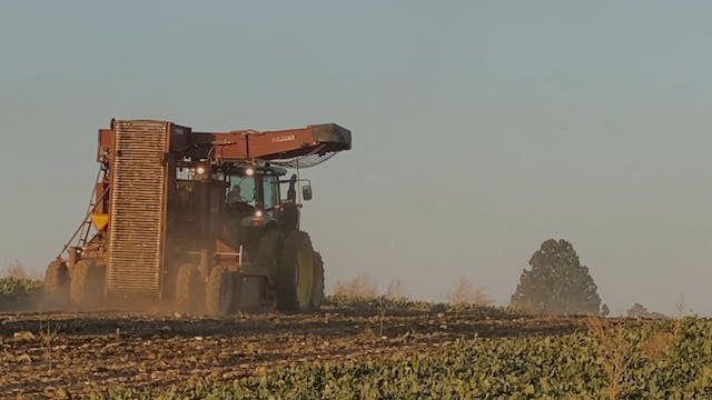 Idaho Sugar Beet Harvest | Redox