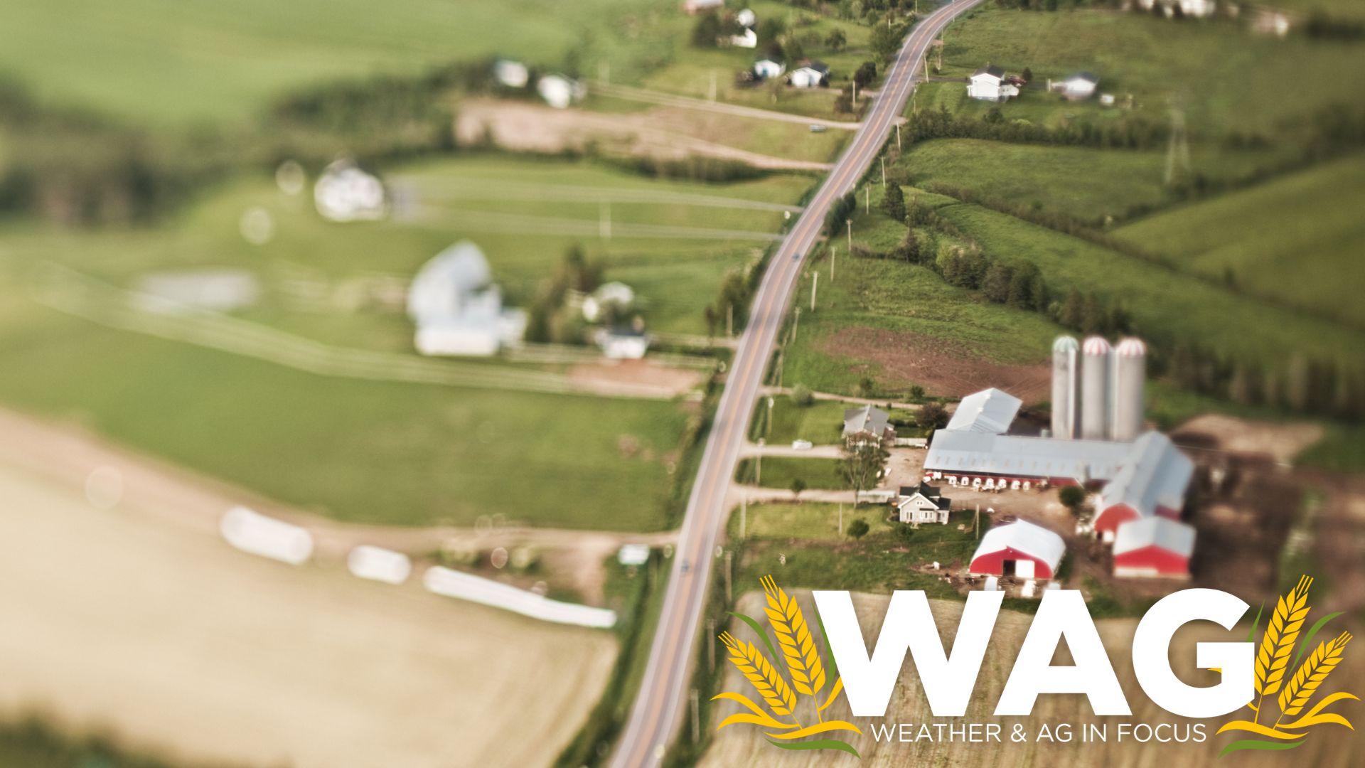 The Farming Road Grader Guy! WAG In Focus 2-20-23