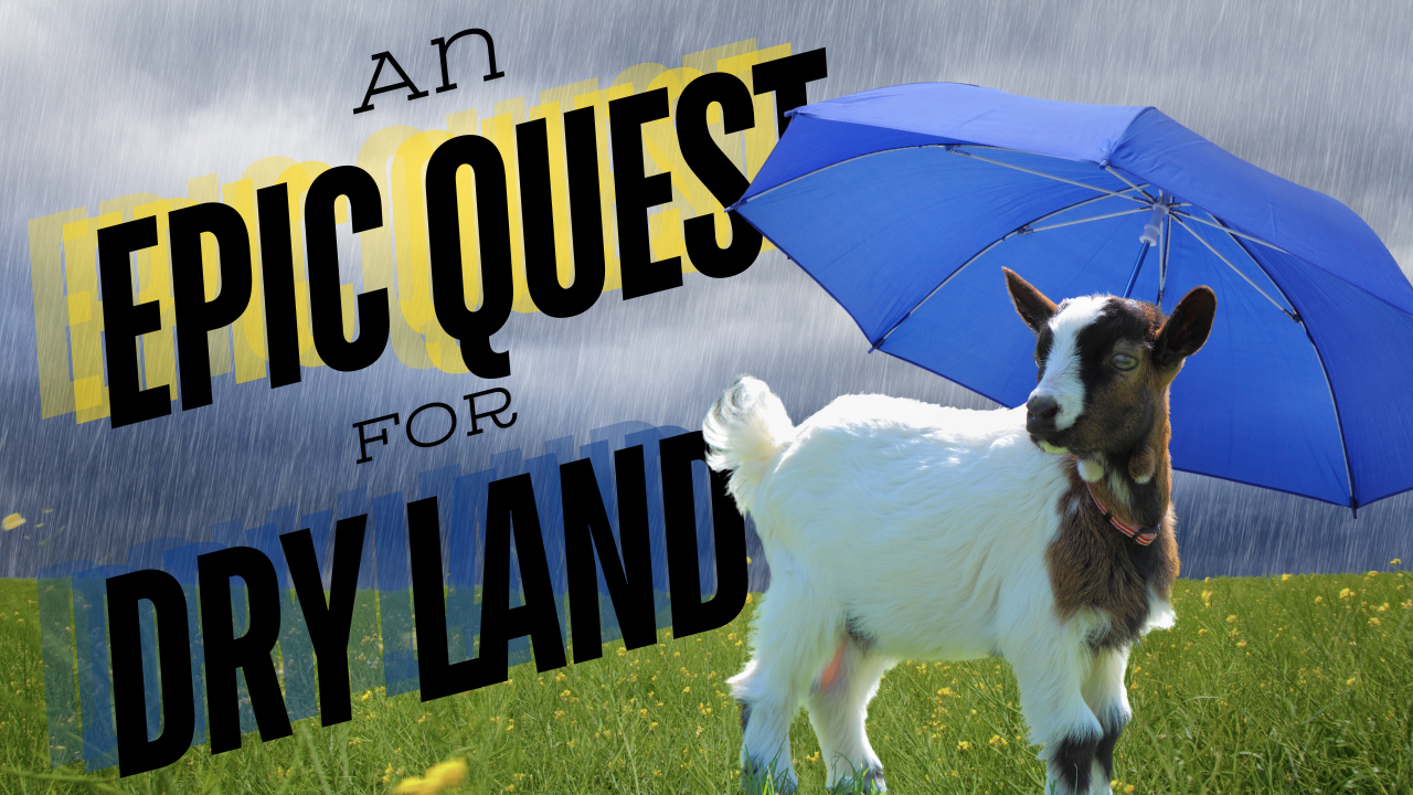 Weather Trivia | WAG in Focus 06-03-26