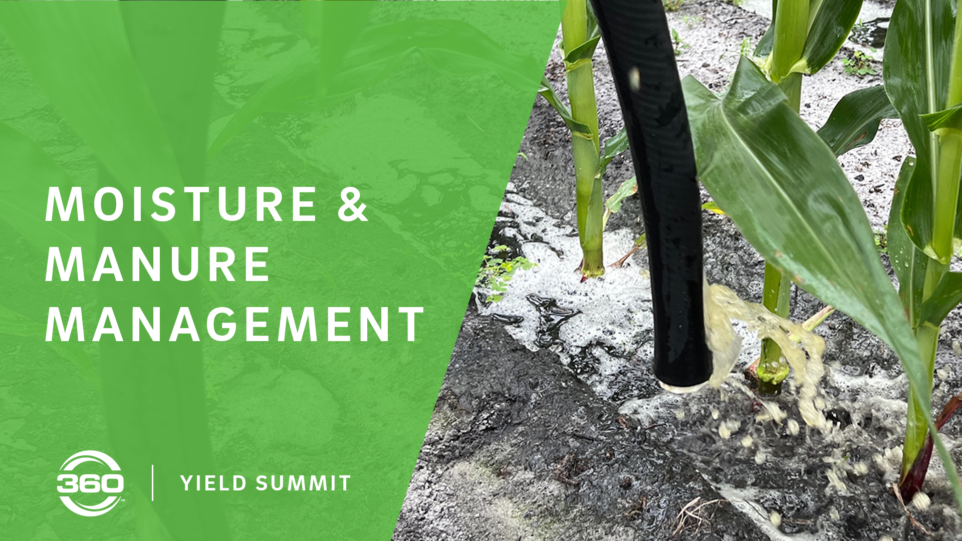 Moisture and Manure Management with 360 RAIN
