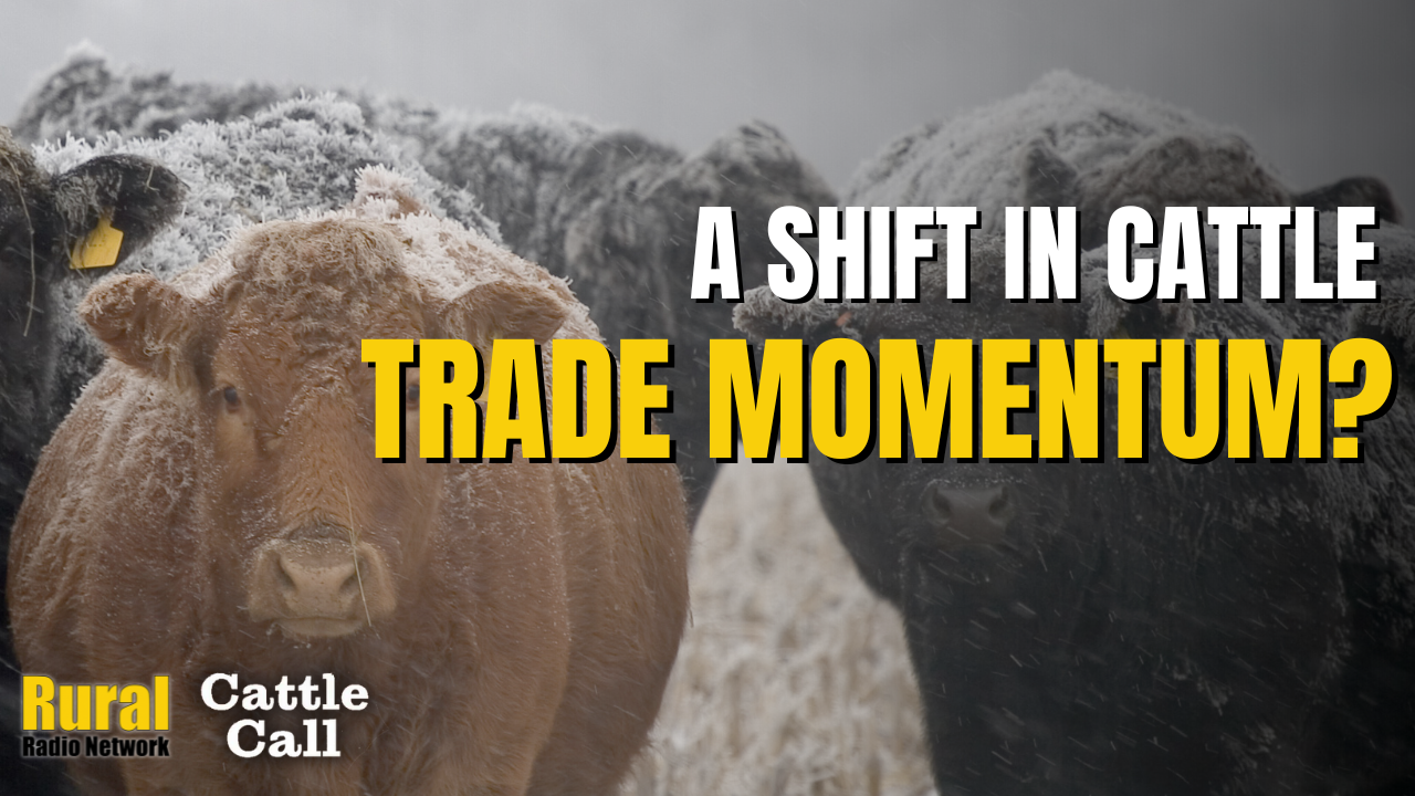 A Shift In Cattle Trade Momentum | Cattle Call
