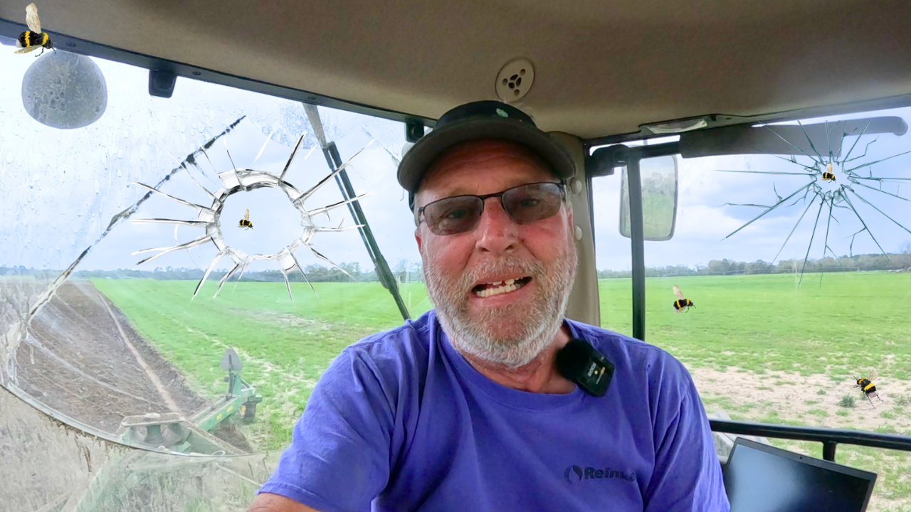 Farming Is Tough Enough Now We Have Killer Bees | Field Rows