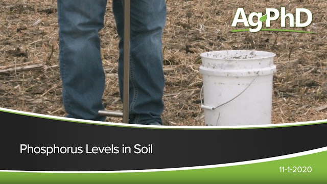 Phosphorus Levels in Soil | Ag PhD