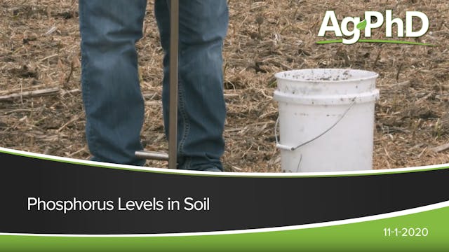 Phosphorus Levels in Soil | Ag PhD