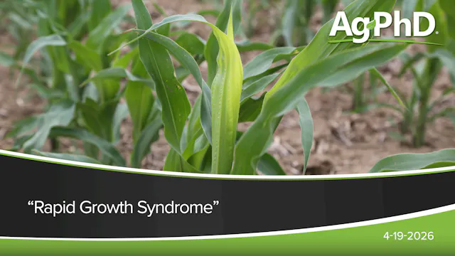 "Rapid Growth Syndrome" | Ag PhD