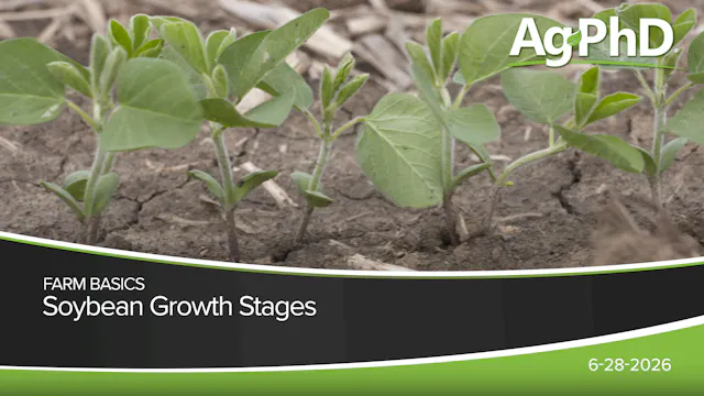 Soybean Growth Stages | Ag PhD